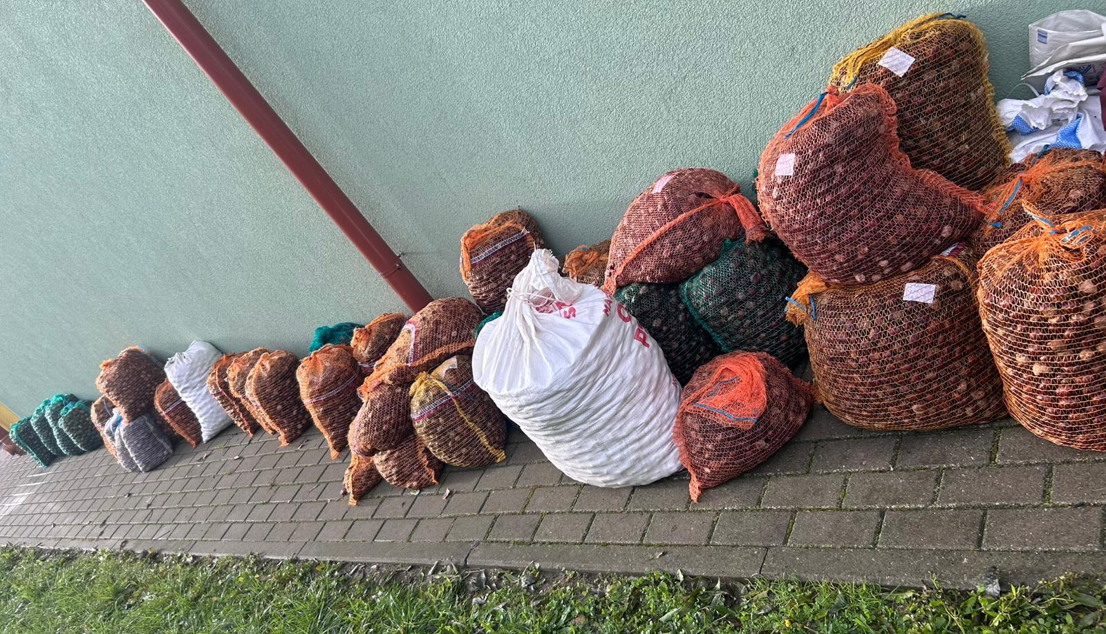 Podsumowanie zbiórki kasztanów